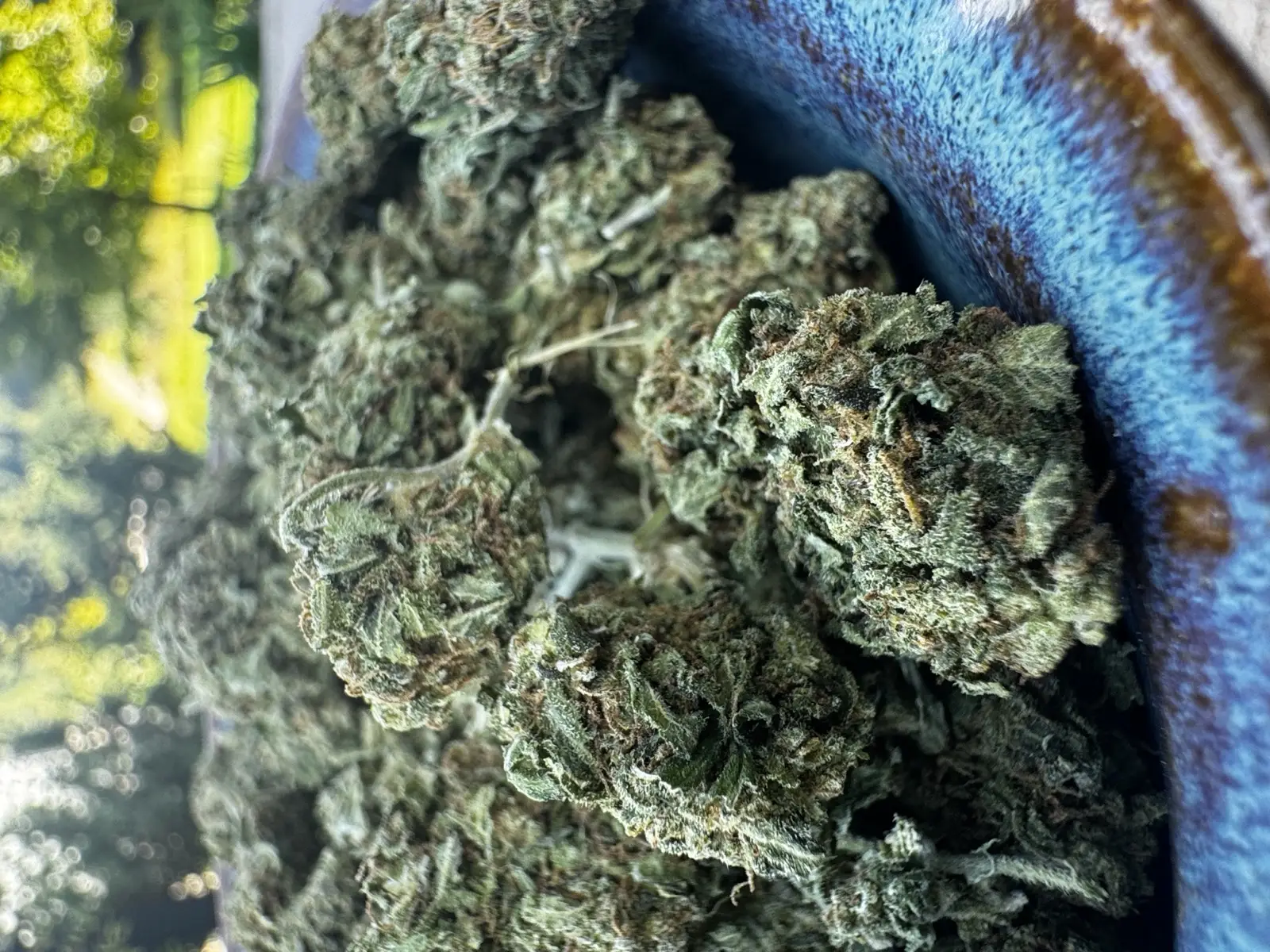 Blueberry Mojito — Flower, Divine Toke Detroit, thumbnail 3